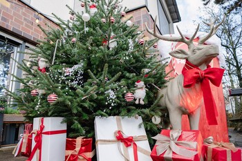 TK Maxx Charity Event Köln 1