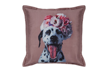 TK Maxx Kissen Hund 17.99€