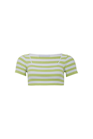 TK Maxx Crop Top grün gestreift 9.99€