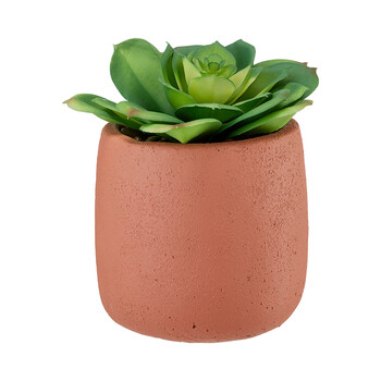 TK Maxx Pflanzentopf