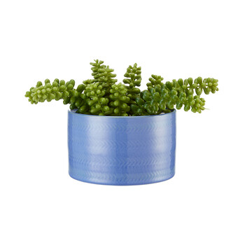 TK Maxx Blauer Blumentopf