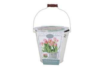 TK Maxx Blumen Topf 8.99€