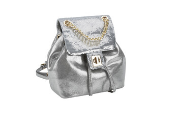 TK Maxx Rucksack silber 49.99€