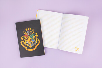 TK Maxx Harry Potter Notizbuch 7.99 € 04