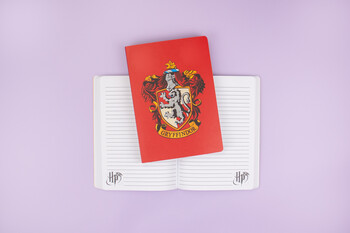 TK Maxx Harry Potter Notizbuch 7.99 € 02