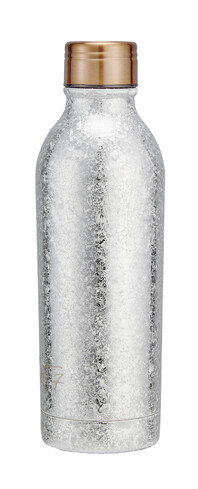 TK Maxx Silberne Trinkflasche 16.99€