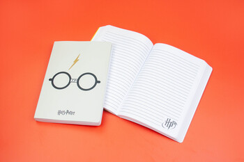 TK Maxx Harry Potter Notizbuch 7.99 € 08