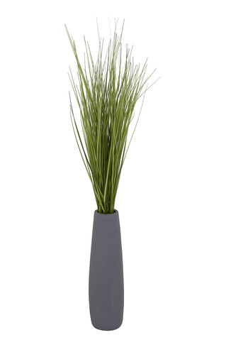 TK Maxx Strauch plastik 29.99€