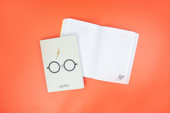TK Maxx Harry Potter Notizbuch 7.99 € 07