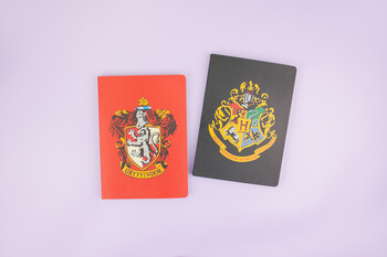 TK Maxx Harry Potter Notizbuch 7.99 € 05