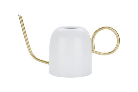 TK Maxx Gießkanne 12.99&euro;