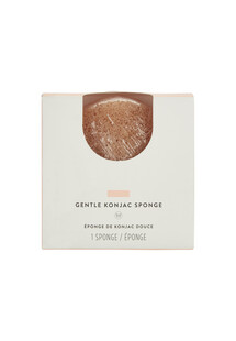 TK Maxx Schwamm 4.99€