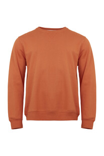 TK Maxx Orangener Pulli