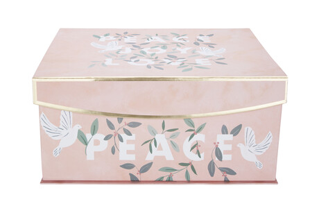 TK Maxx Aufbewahrungsbox 12.99€