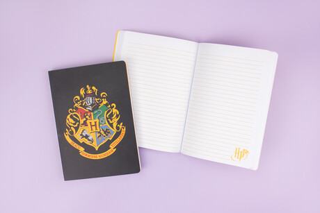 TK Maxx Harry Potter Notizbuch 7.99 &euro; 04