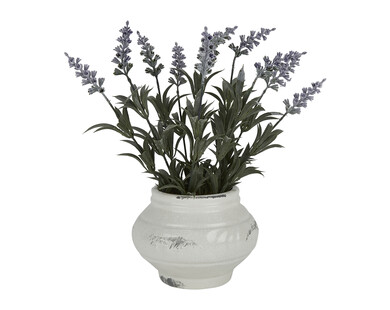 TK Maxx Kunstpflanze mit lila Blüten 8.99 &euro;