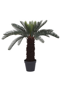 TK Maxx Pflanze fake 89.99&euro;