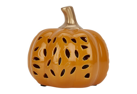 TK Maxx Kürbis 7.99&euro;