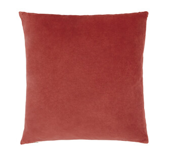 TK Maxx Rotes Samtkissen 17.99&euro;