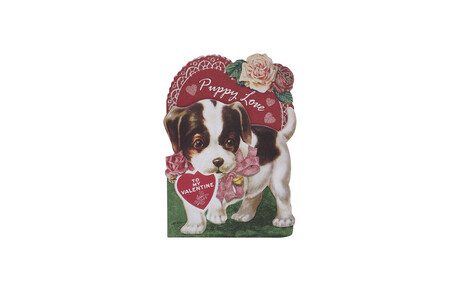 Tk Maxx Karte puppy love 3.49&euro;