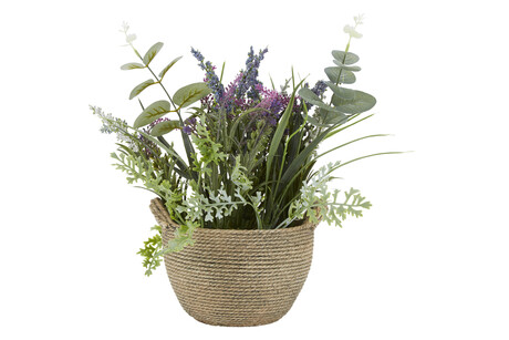 TK Maxx Pflanze mit Topf fake 12.99&euro;