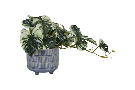 TK Maxx Plastikpflanze 19.99 &euro;