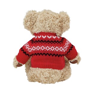 TK Maxx Teddybär Rückseite 10.99&euro;