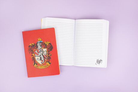 TK Maxx Harry Potter Notizbuch 7.99 &euro; 03